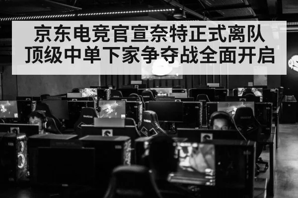 京东电竞官宣奈特正式离队 顶级中单下家争夺战全面开启